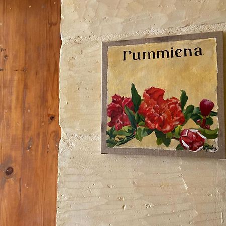 Botanica B&B Шаара Экстерьер фото
