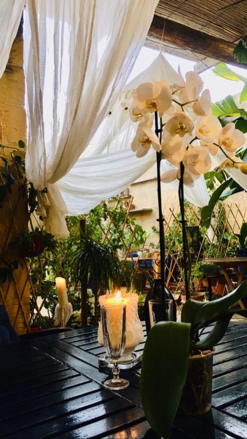 Botanica B&B Шаара Экстерьер фото
