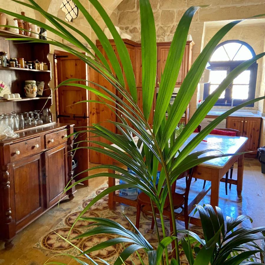 Botanica B&B Шаара Экстерьер фото