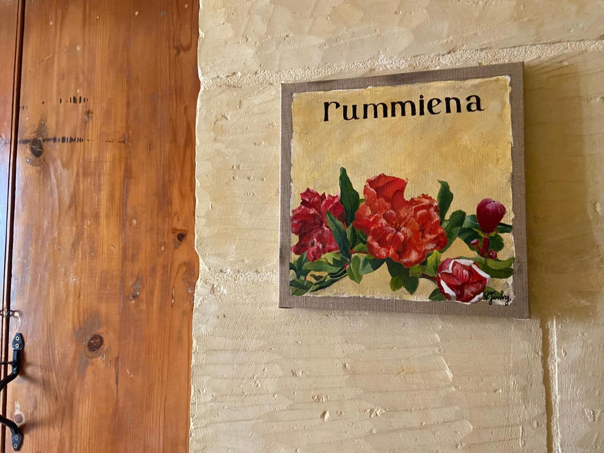 Botanica B&B Шаара Экстерьер фото